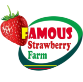 famousstrawberryfarm.in